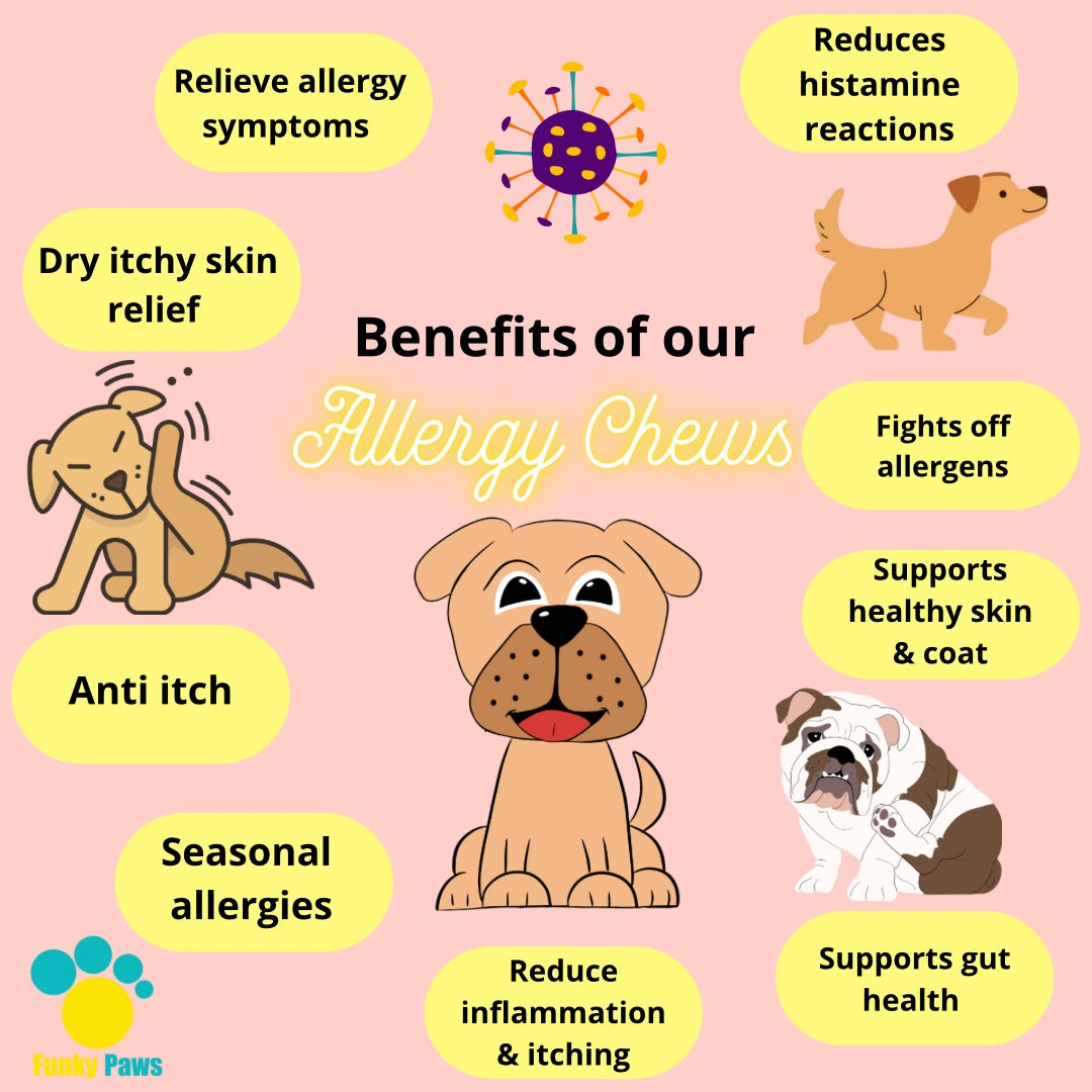 Allergy Chews for Dogs | Anti Itch, Immune Support & Seasonal Allergy Supplement | Funky Paws Co