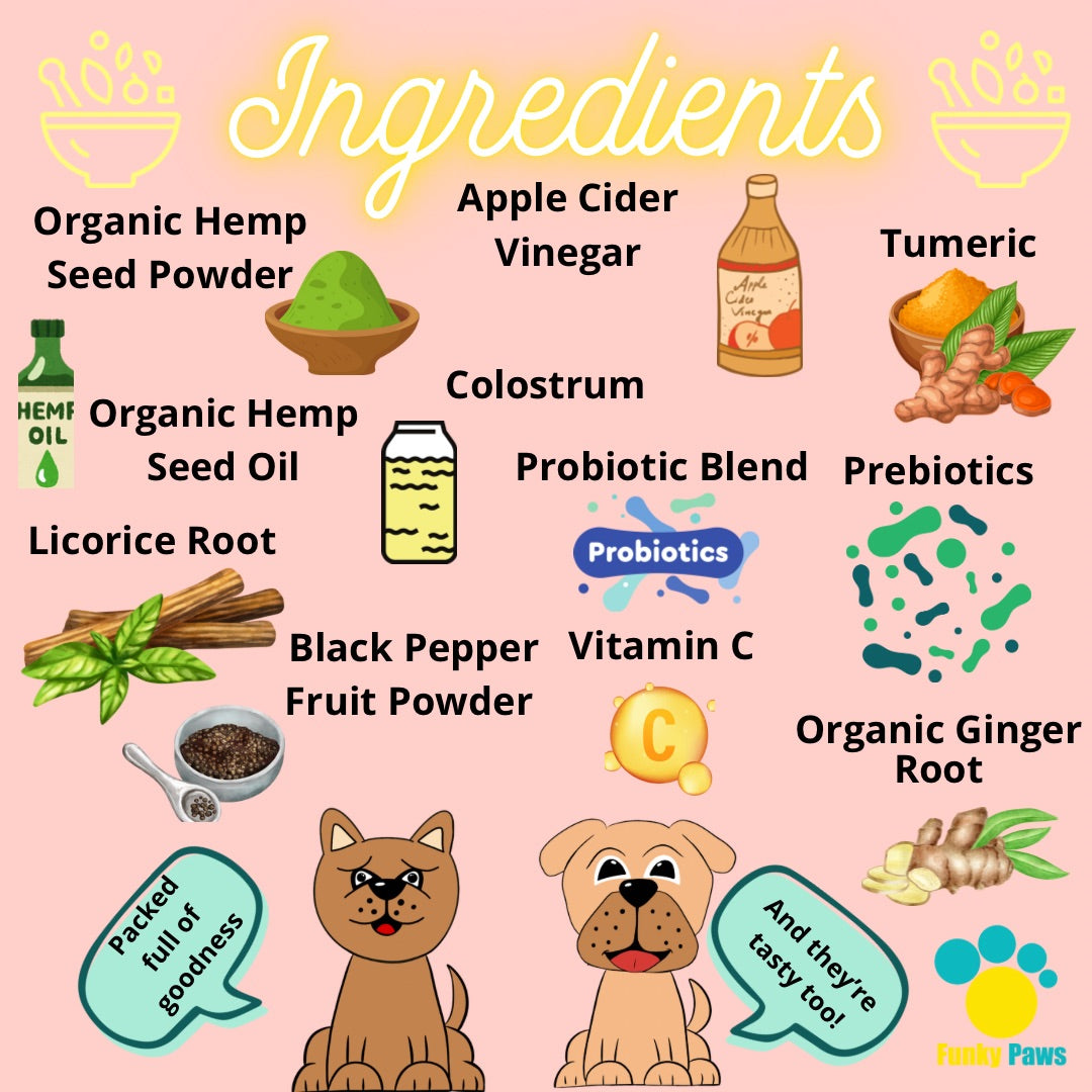 Allergy Chews for Dogs | Anti Itch, Immune Support & Seasonal Allergy Supplement | Funky Paws Co