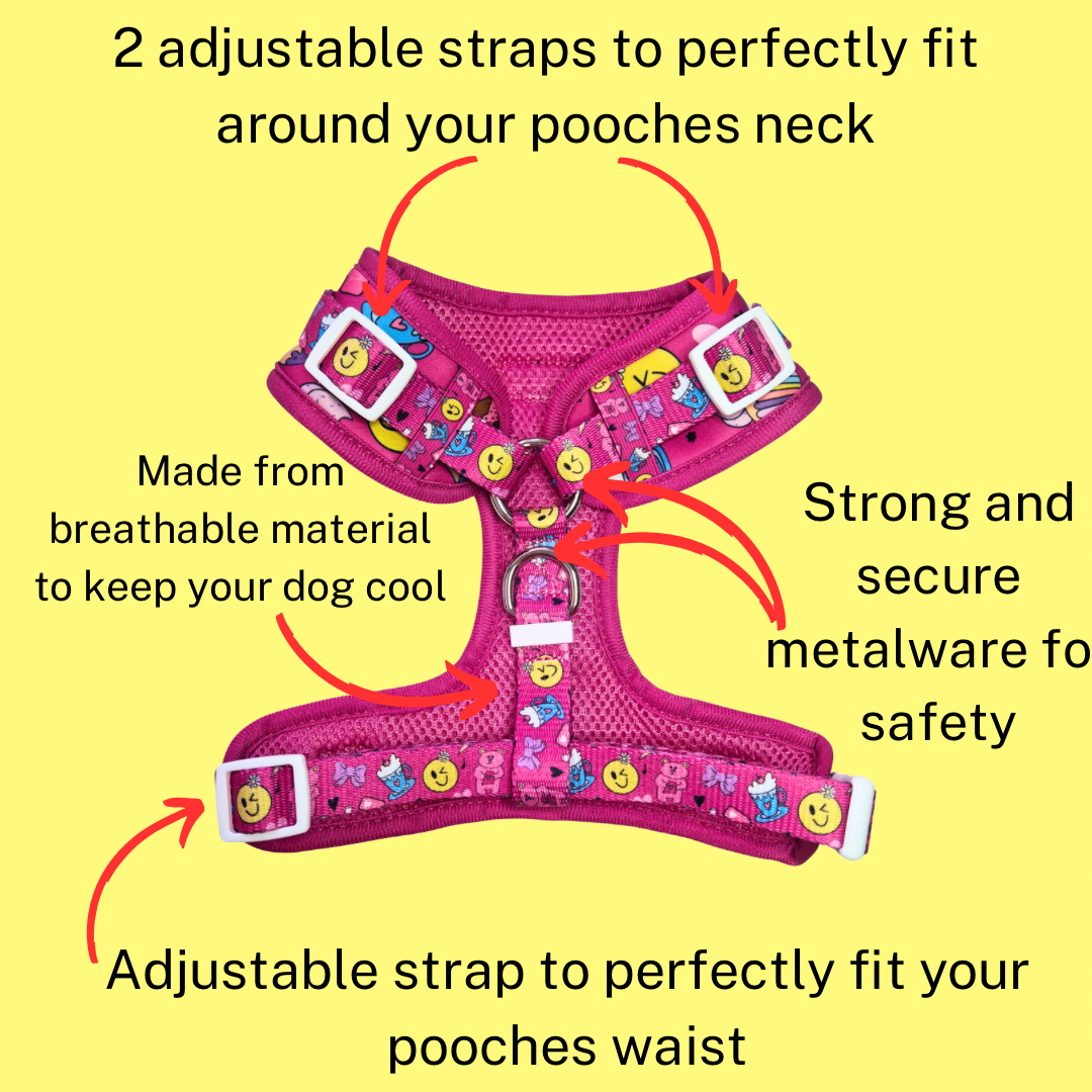 Adjustable Harness - Girls BFF's