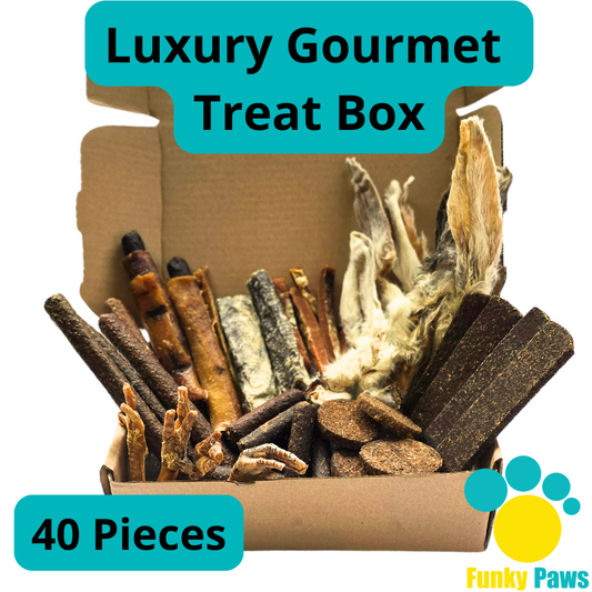 40 Piece Luxury Gourmet Treat Box