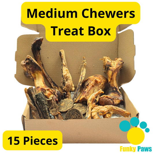 15 Piece All Natural Medium Chewers Treat Box