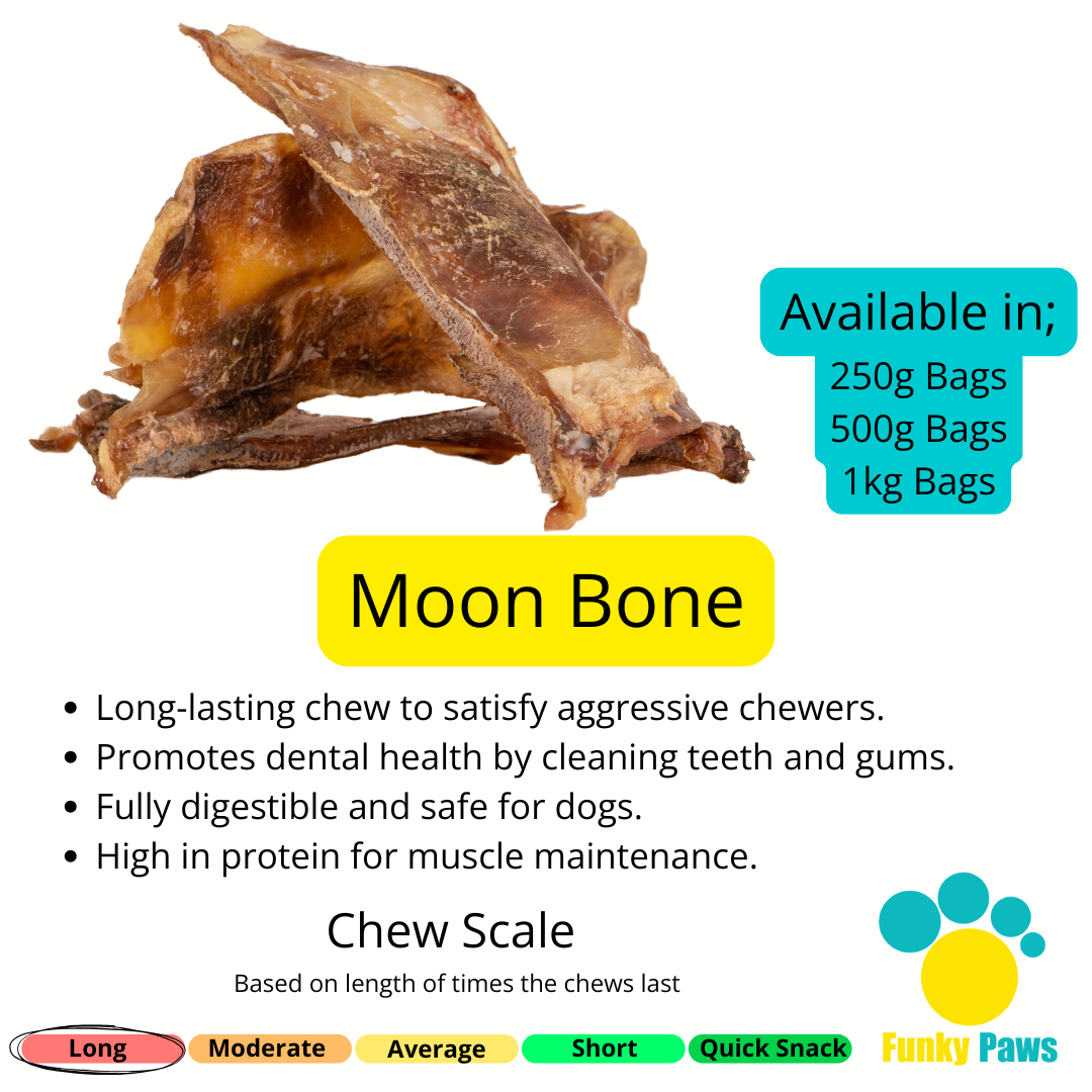 Moonbone Beef Moon Bones - Beef Shoulder (250g, 500g, 1kg) – Funky Paws Co