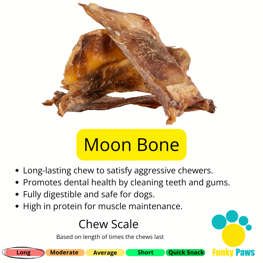 Natural moon bone dog chew from the Best Seller Bundle