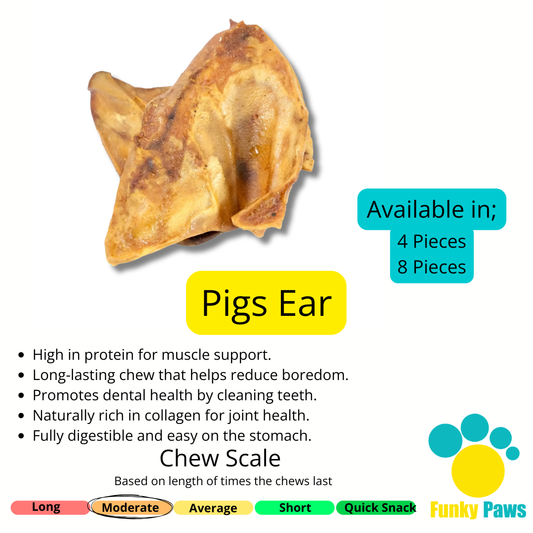 Pigs Ear (4 Pieces, 8 Pieces)