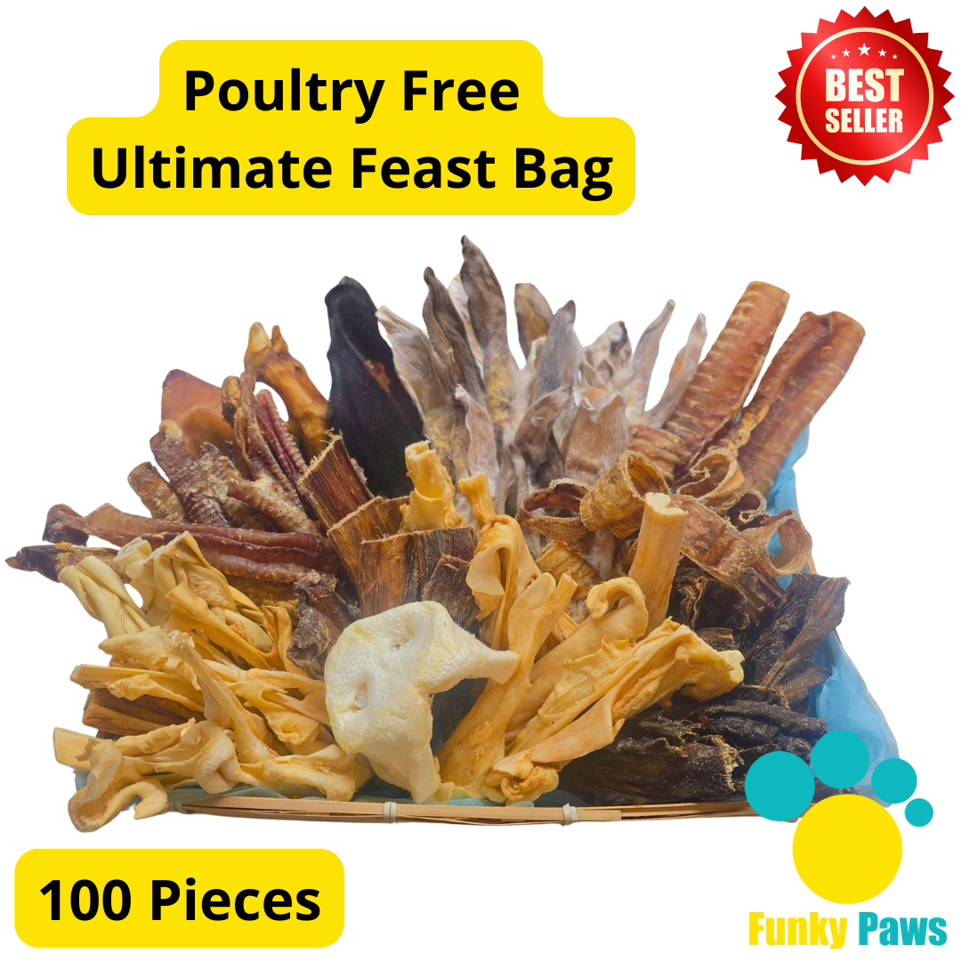 100 Piece Ultimate Feast Bag | Natural Dog Treat Bundle UK | Funky Paws Co