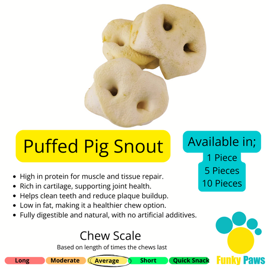 Puffed Pig Snouts (5 Pieces, 10 Pieces)