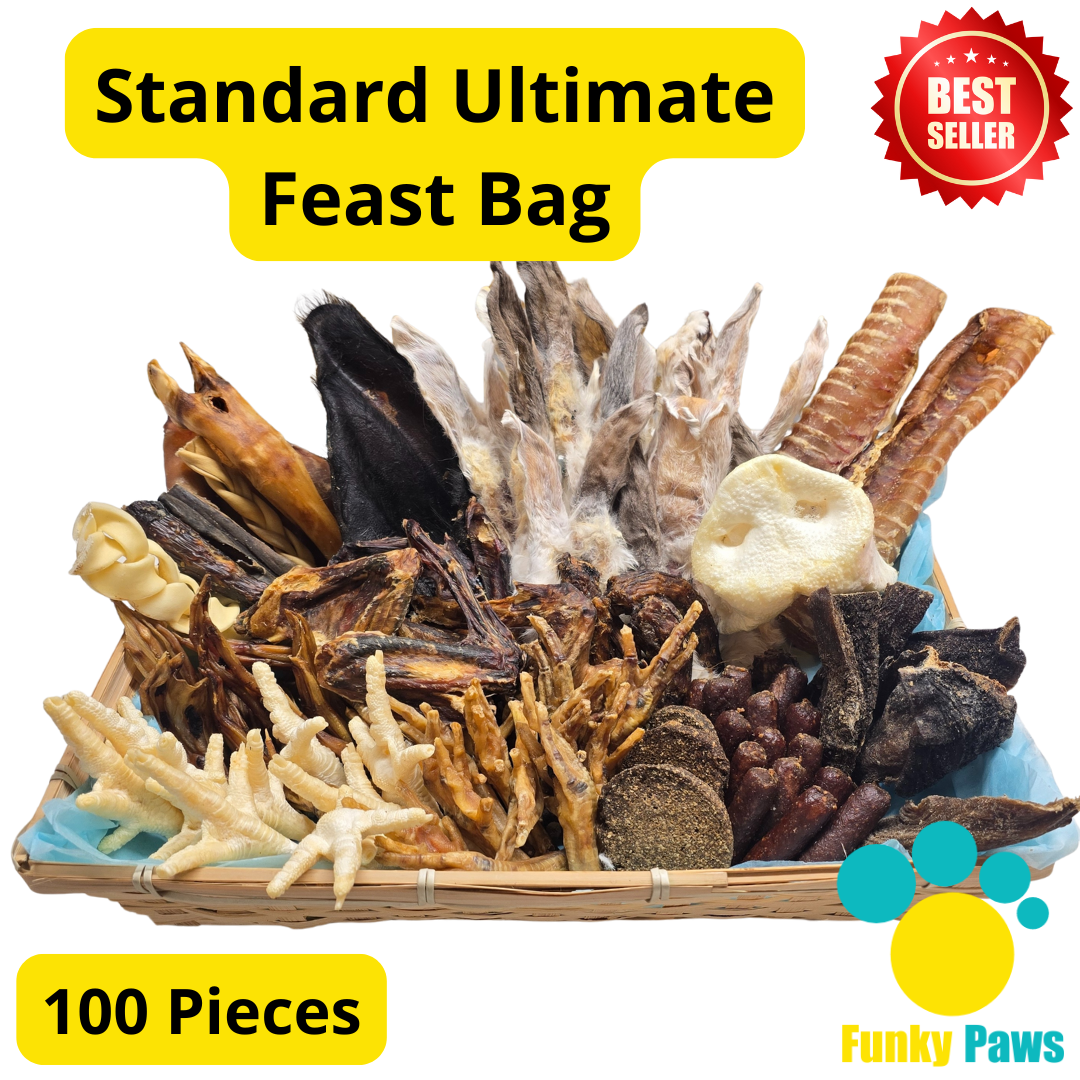 100 Piece Ultimate Feast Bag | Natural Dog Treat Bundle UK | Funky Paws Co