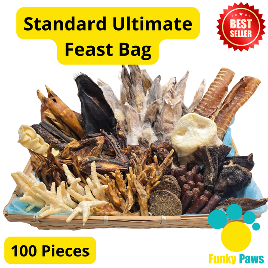 100 Piece Ultimate Feast Bag | Natural Dog Treat Bundle UK | Funky Paws Co