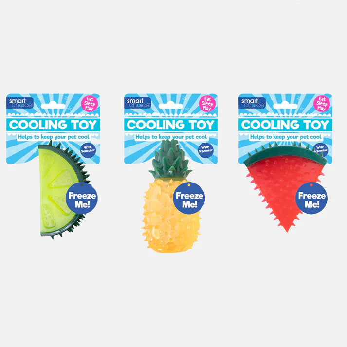 Smart Choice Summer Fruit Cooling Dog Toy