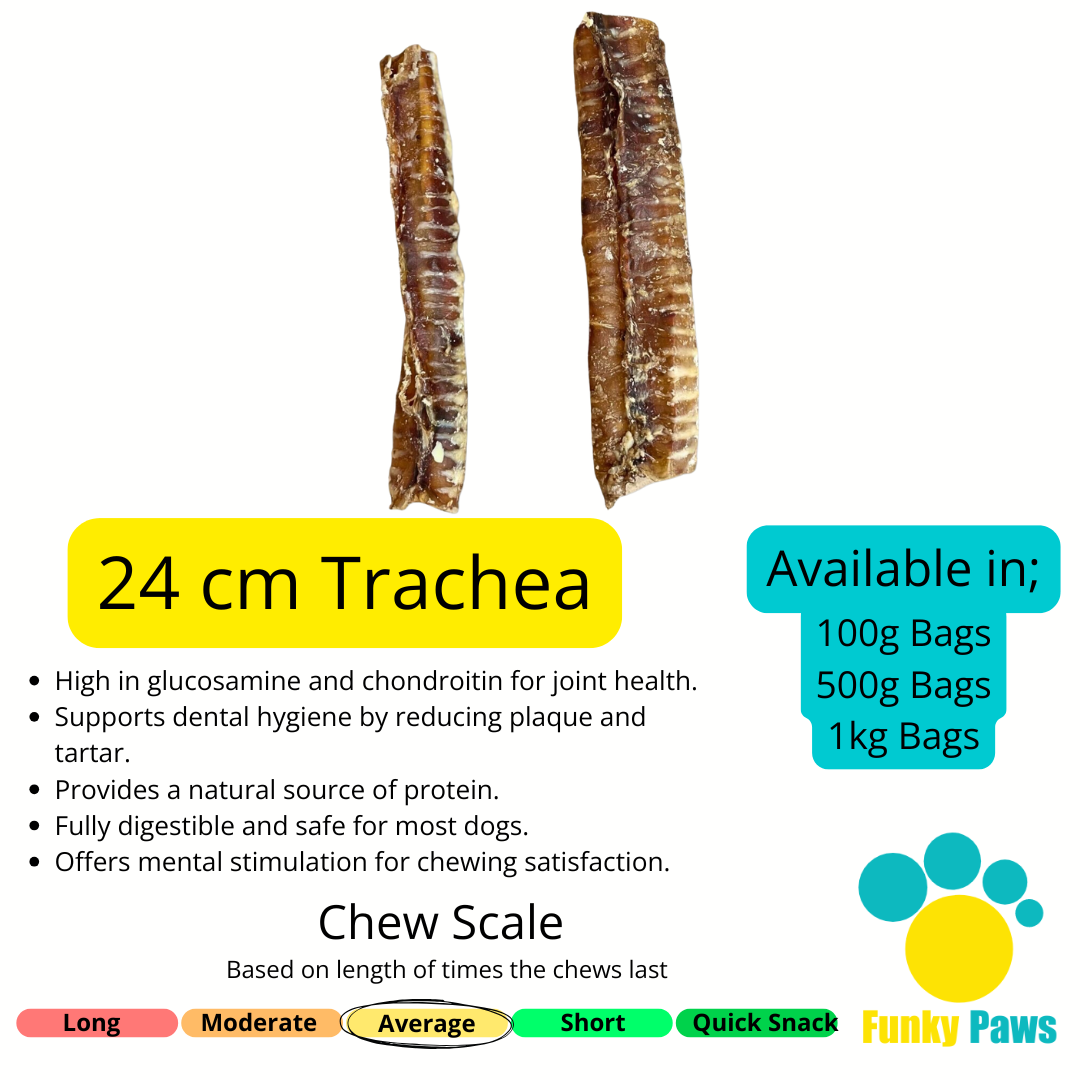 Trachea (1kg, 500g, 100g)