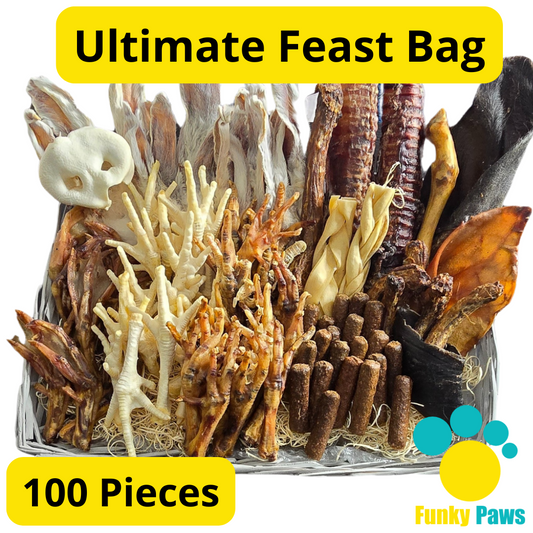 100 Piece Ultimate Feast Bag