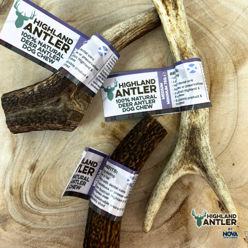 Deer Antlers