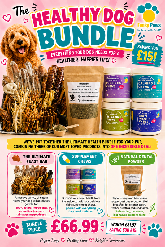 🌿 The Healthy Dog Bundle