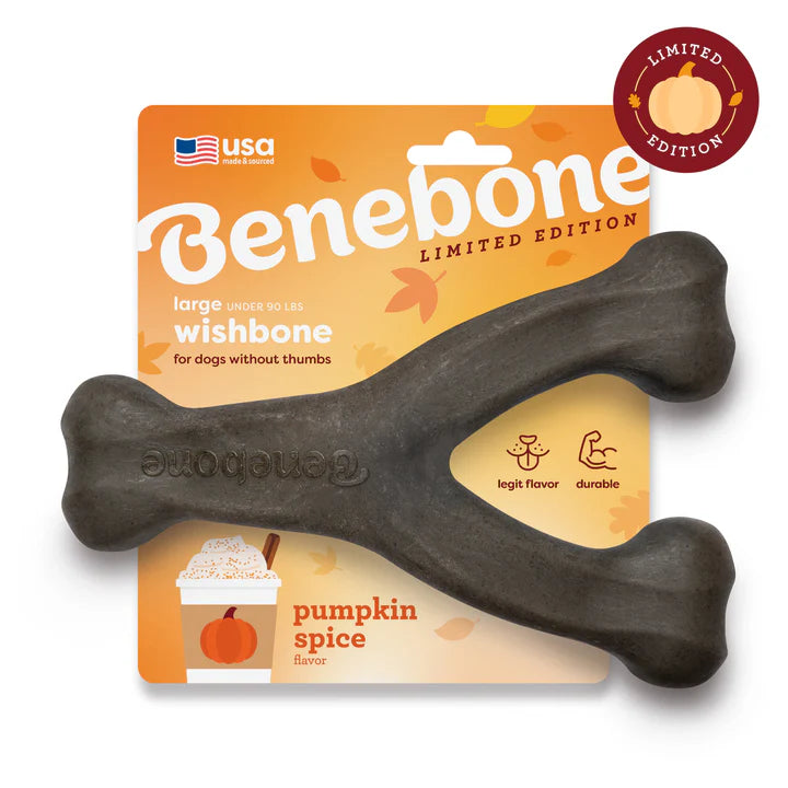 Benebone Pumpkin Spice Flavour