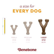 Benebone Pumpkin Spice Flavour