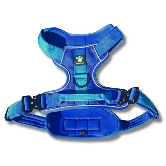 Blue Ultimate Strength Harness – Built for Power, Designed for Comfort