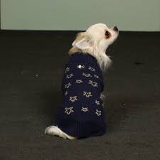Golden Stars Jumper