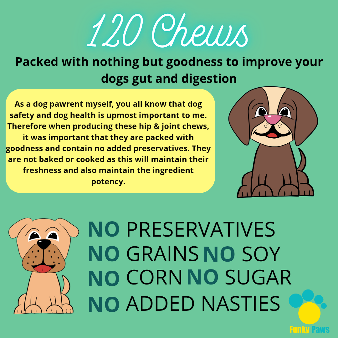 Hip & Joint Chews for Dogs | Glucosamine & Turmeric Mobility Supplement UK | Funky Paws Co