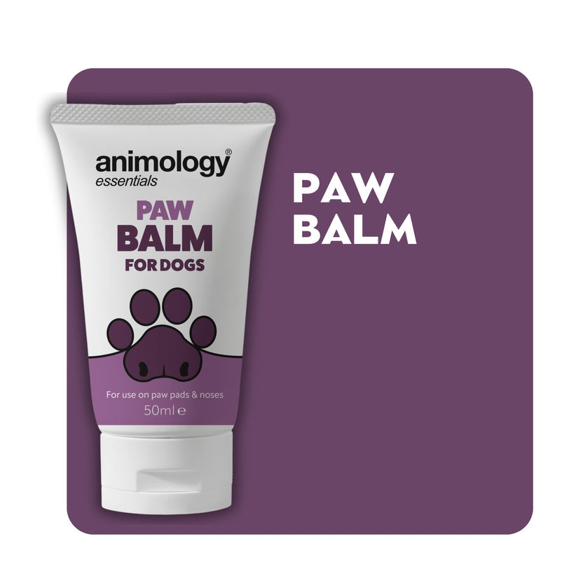 Animology Paw Balm for Dogs | Funky Paws Co