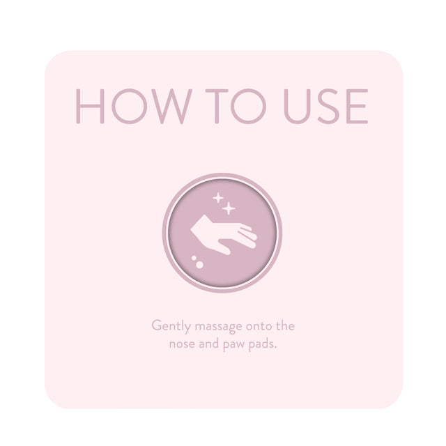 Animology Paws & Nose Balm - lifestyle shot | Funky Paws Co