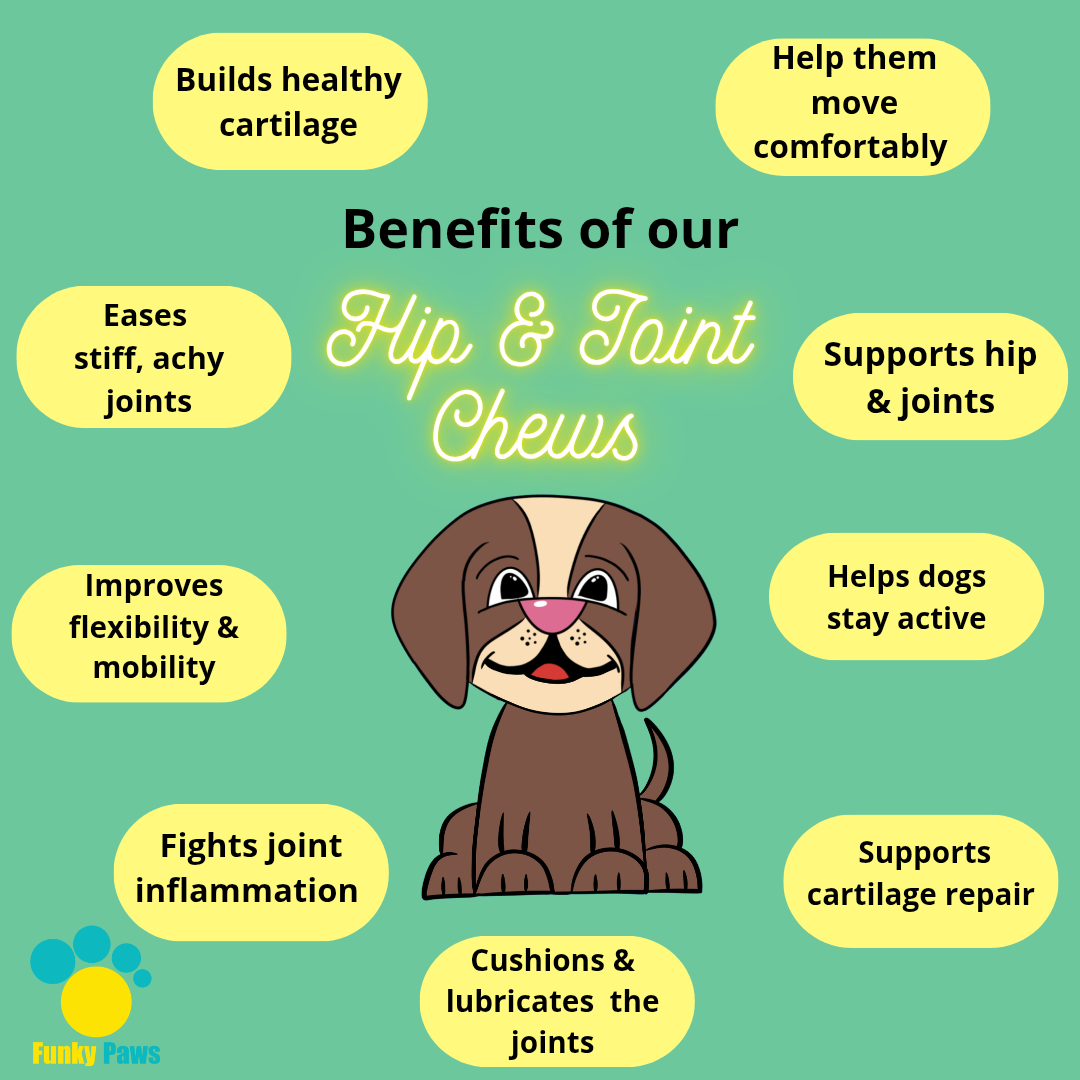 Hip & Joint Chews for Dogs | Glucosamine & Turmeric Mobility Supplement UK | Funky Paws Co
