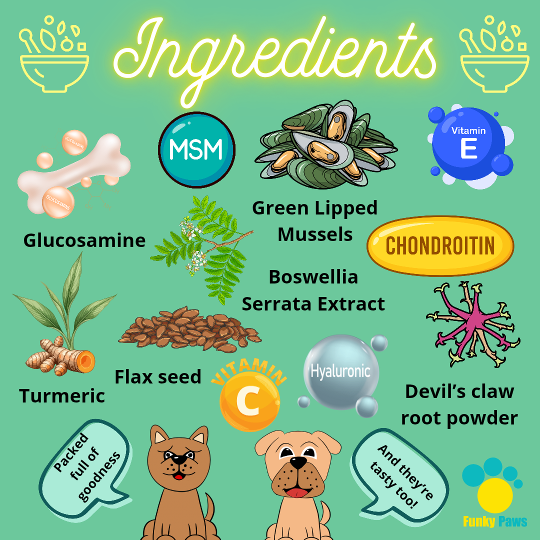 Hip & Joint Chews for Dogs | Glucosamine & Turmeric Mobility Supplement UK | Funky Paws Co