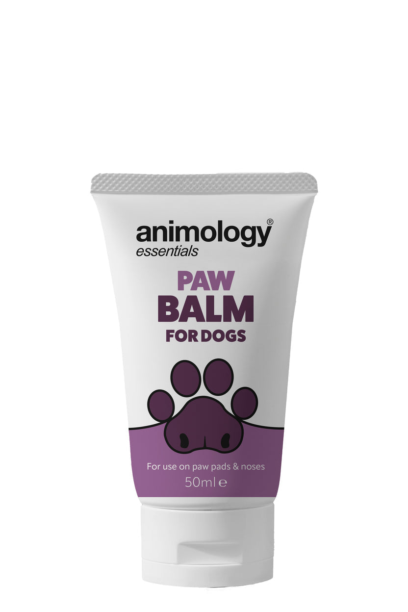 Animology Paw Balm for Dogs - lifestyle shot | Funky Paws Co
