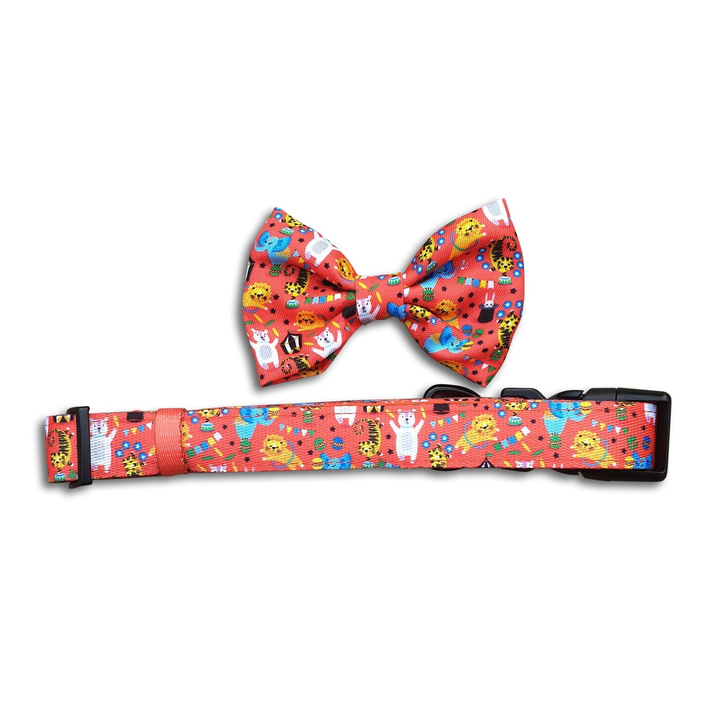 Collar & Bowtie - Circus