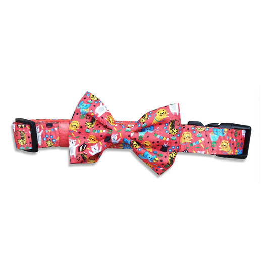 Collar & Bowtie - Circus