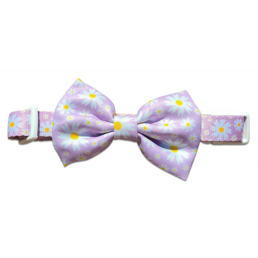 Collar & Bowtie - Daisy